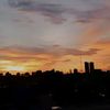 danzz30117