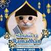raflitriwahyudi42