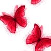 user1130206860002
