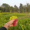 user147129005831
