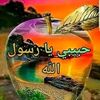 user17768259760927
