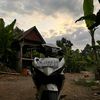 mx.putee