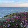 flowerinheart26