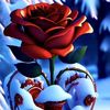 m.r.chowdhury54