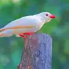 tiktok55905