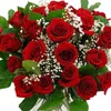mahmud_12q
