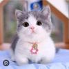 anita41069