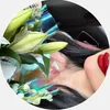 jana.xan11