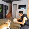 jackazhuang