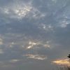 aly_52