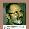 bernat348