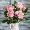 my.flower62