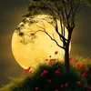 wissam.alrawy