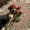 zakh_80