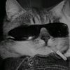 zakwanzoo0603