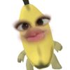 qeiroo0