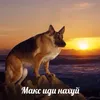 timoshka_piska_14