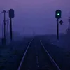 wi1dx77