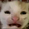 akiniwiw
