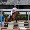 equestrian_elin