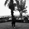 sashatellez__bl.cc