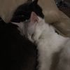 tr_onp
