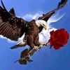 user8162638451624