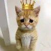 user3g7b2ujh1m
