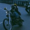 cipunks__