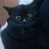 3ter.n1ty