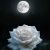 aahhkugvdm