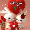 ahmadhamd455