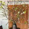 huong.phan.huong8