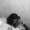 ecledji8