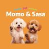 Momo & Sasa Pet Universe