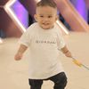 syarief6238