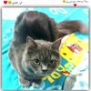 omammar655