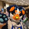 maws_and_claws