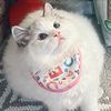 musubiandmochiko