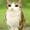 purva_1glz