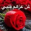 user1858382541499