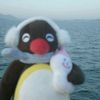 chuchkuu_