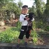 honggnguyen3