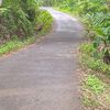 bayuajiaji496
