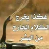 user2903039543123