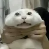 nhuong_nhii