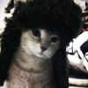 miska_360