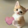 yylii__