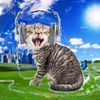 appleuwu3