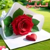 alaridy2